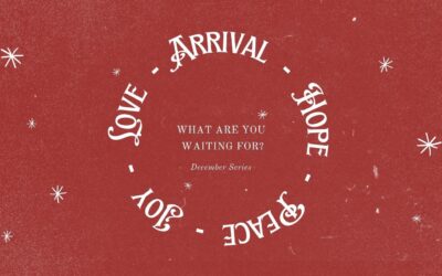 ARRIVAL: DECEMBER SERIES